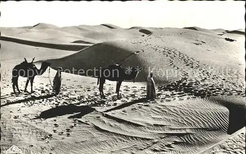 Scenes et Types Nr. 1122 Passage des Dunes de Sable au Desert Kat. Typen