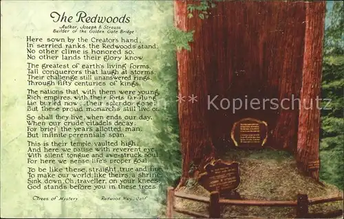 Baeume Trees The Redwoods Poem Joseph B. Strauss  Kat. Pflanzen