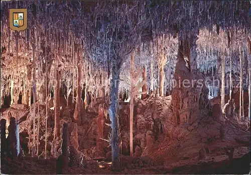 Hoehlen Caves Grottes Mallorca Porto Cristo Manacor Cuevas dels Hams Sueno de un Angel Kat. Berge