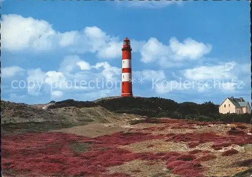 Leuchtturm Lighthouse Insel Amrum Kat. Gebaeude