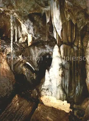 Hoehlen Caves Grottes Attendorn Tropfsteinhoehle Eisbaer Kat. Berge