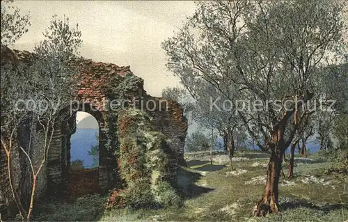 Verlag Photochromie Nr. 1850 Baeume Ruine  Kat. Verlage