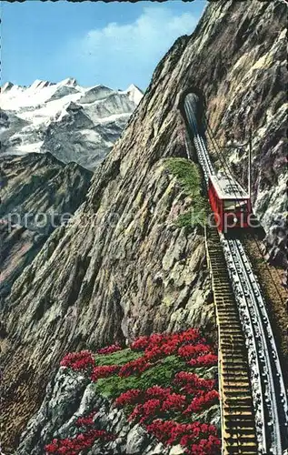 Zahnradbahn Pilatusbahn Eselwand Berneralpen Kat. Bergbahn