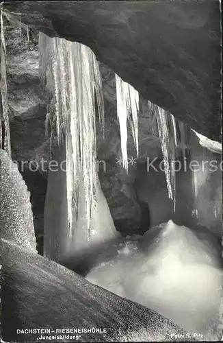 Hoehlen Caves Grottes Dachstein Rieseneishoehle Jungeisbildung Kat. Berge