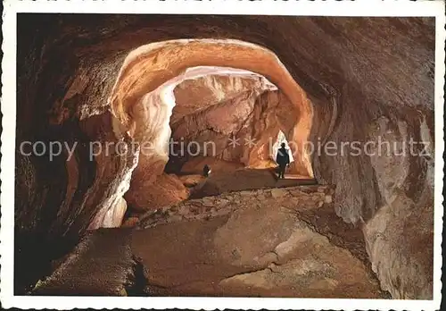 Hoehlen Caves Grottes Dachstein Mammuthoehle Palaeotraun Kat. Berge