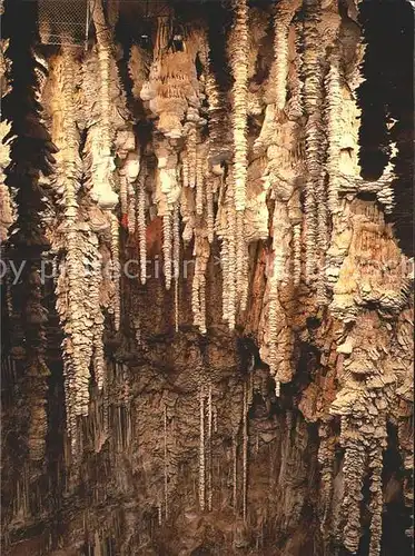 Hoehlen Caves Grottes Aven Armand Meyrueis Foret de stalagmites  Kat. Berge