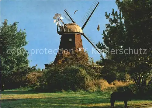 Windmuehle Lauenburger Muehle Lauenburg Elbe  Kat. Gebaeude und Architektur