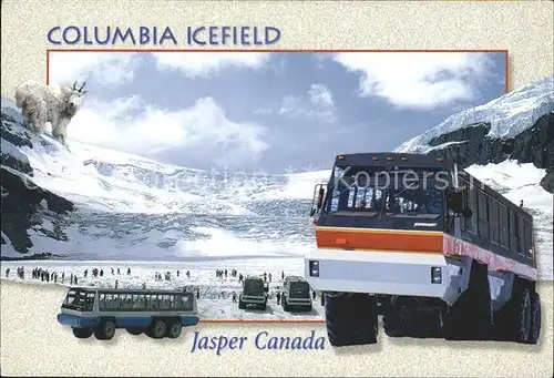 Gletscher Columbia Icefield Jasper National Park Alberta Canada  Kat. Berge