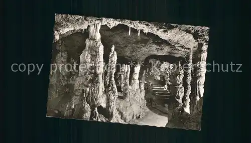 Hoehlen Caves Grottes Nebelhoehle Genkingen Unterhausen Kat. Berge