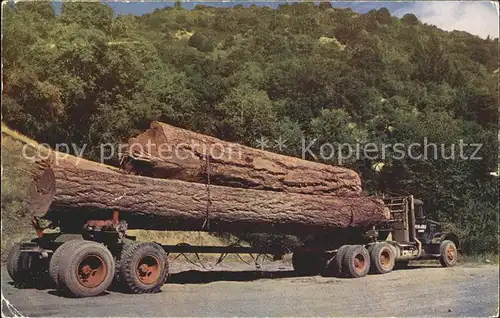 Baeume Trees Log Truck  Kat. Pflanzen