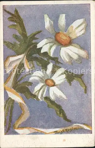Blumen Margeriten Kuenstlerkarte Kat. Pflanzen