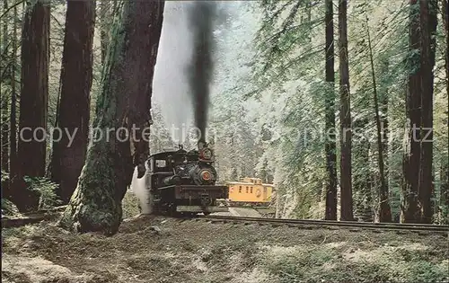 Lokomotive Redwoods Roaring Camp and Big Trees Narrow Gauge Railroad  Kat. Eisenbahn