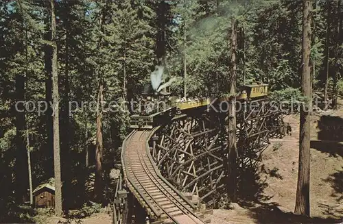 Lokomotive Dixiana Shay Spring Canyon High Trestle Roaring Camp and Big Trees Narrow Gauge Railroad  Kat. Eisenbahn