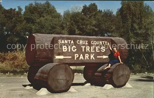 Baeume Trees Big Trees Park Santa Cruz County California Kat. Pflanzen