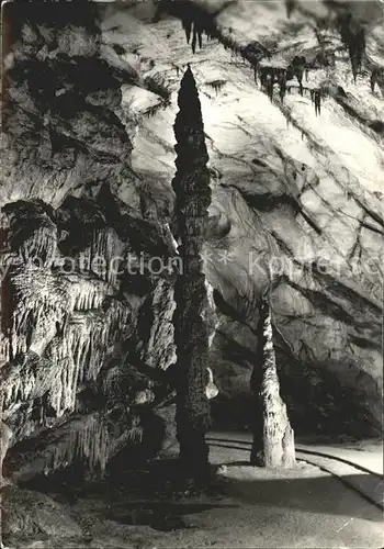 Hoehlen Caves Grottes Postojnska Jama Kat. Berge