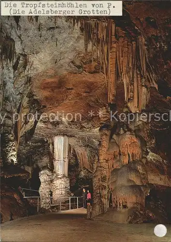 Hoehlen Caves Grottes Postojnska jama Kat. Berge