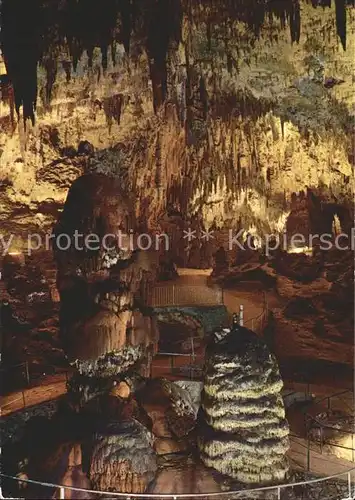 Hoehlen Caves Grottes Postojnska Jama Postojna Kat. Berge