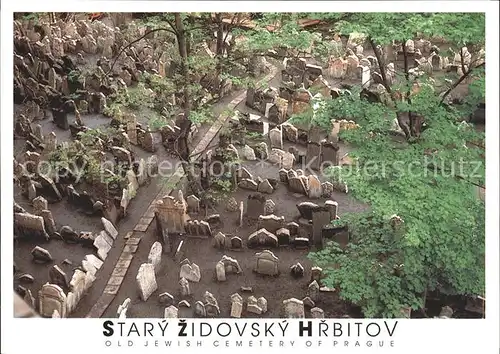 Friedhof Stary Zidovsky Hrbitov Praha Kat. Tod