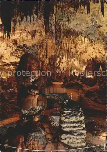 Hoehlen Caves Grottes Postojnska Jama Postojna Kat. Berge