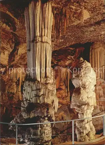 Hoehlen Caves Grottes Postojnska Jama Postojna Kat. Berge