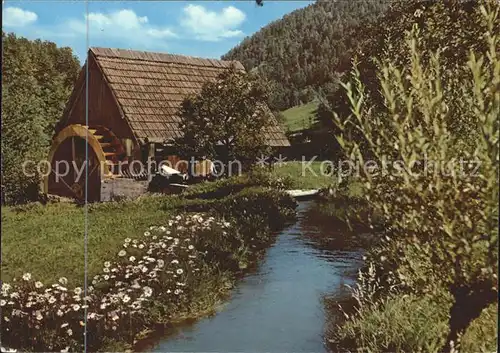 Wassermuehle Gutach Hornberg Schwarzwald  Kat. Gebaeude und Architektur