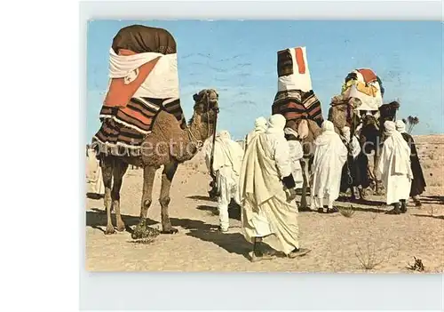 Hochzeit Kamele Tunisie Mariage traditionnel dans le desert  Kat. Greetings