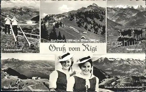 Alphorn Alphornblaeser Kuehe Berner Alpen Rigi Staffel Kulm  Kat. Musik