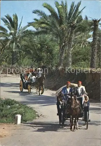 Pferdekutschen Gabes Promenade a travers l Oasis  Kat. Tiere