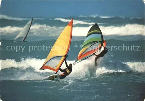 Segeln Windsurfen Kat. Sport