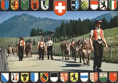 Kuehe Almabtrieb Senner Schweiz Wappen  Kat. Tiere