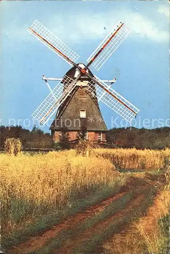 Windmuehle Windkorenmolen De Zaandplatte Ruinen Drente  Kat. Gebaeude und Architektur