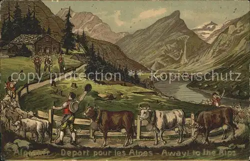 Kuehe Alpfahrt Senner Litho  Kat. Tiere