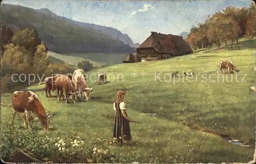 Hoffmann Heinrich Weidende Herde Schwarzwald  Kat. Kuenstlerkarte