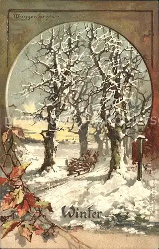 Jahreszeiten Winter Kuenstlerkarte Thomas Guggenberger  / Besonderheiten /