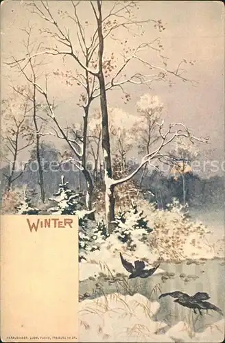 Jahreszeiten Winter  / Besonderheiten /