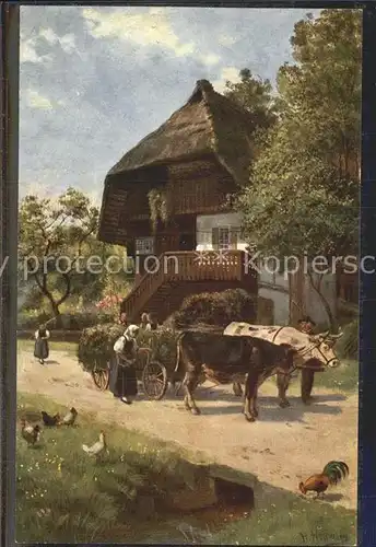 Hoffmann Heinrich Gruenfutter Einfuhr Schwarzwaldhaus Ochsenkarren Kat. Kuenstlerkarte