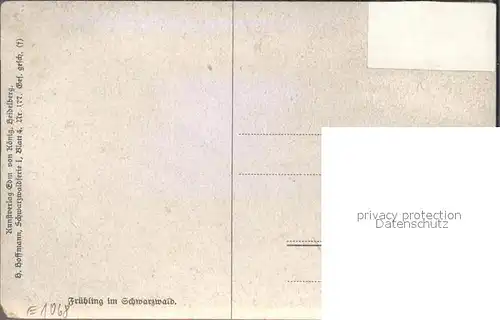 Hoffmann Heinrich Fruehling im Schwarzwald Schwarzwaldhaus Kat. Kuenstlerkarte