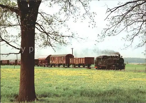 Lokomotive Traditionsbahn Radebeul Ost   Radeburg Gueterzug Berbisdorf Kat. Eisenbahn