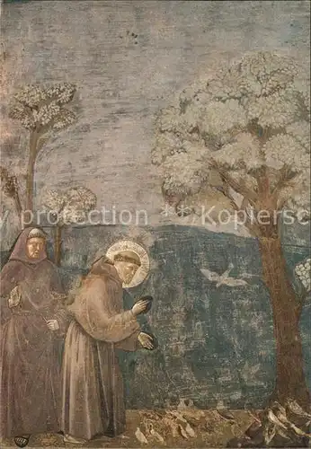 Kuenstlerkarte Giotto Ambrogio Bondone S. Francesco predica agli uccelli Assisi Kat. Kuenstlerkarte