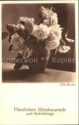 Foto Herrlich Lotte Geburtstag Rosen Vase  Kat. Fotografie