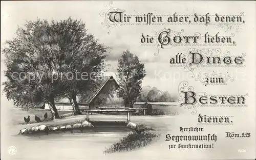 Verlag NPG Nr. 1904 Bauernhof Huehner  / Verlage /