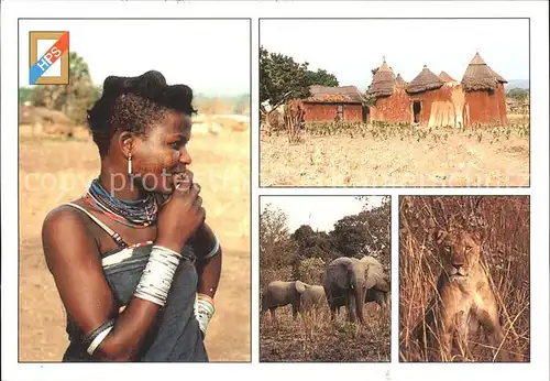 Typen Afrika Elefant Loewe Togo  / Typen /