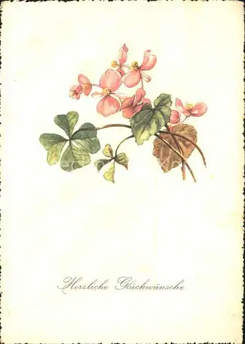 Blumen Kleeblatt Glueckwunsch Kat. Pflanzen