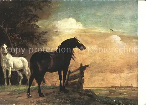 Kuenstlerkarte Paulus Potter Paarden in de weide   Kat. Kuenstlerkarte