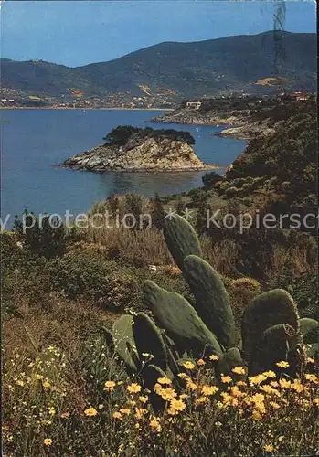 Kakteen Isola d Elba Scoglio della Paolina Kat. Pflanzen