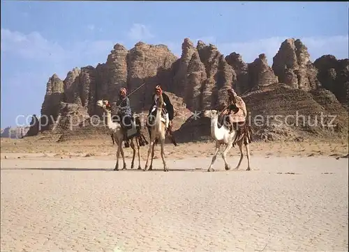 Kamele Wadi Rum Jordan Kat. Tiere