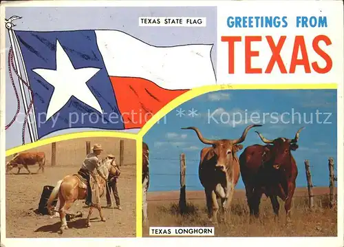 Tiere Texas Longhorn State Flag  Kat. Tiere