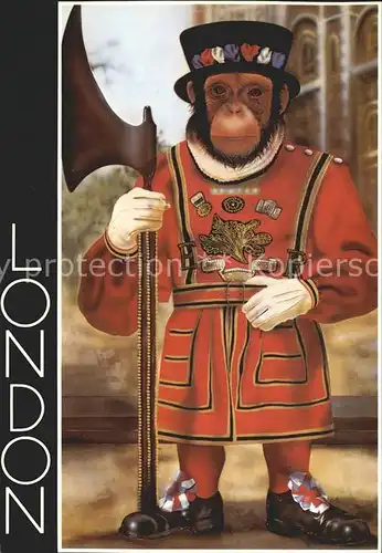 Vermenschlicht Affe London Yeoman Warder Wache Kat. Kuenstlerkarte