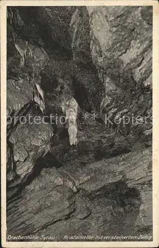 Hoehlen Caves Grottes Drachenhoehle Syrau Kristallkeller Zwerg / Berge /