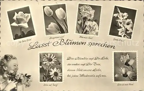 Blumen Blumensprache Rose Tulpe Nelke Gedicht  / Pflanzen /